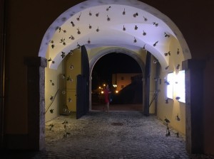 IMG 0087